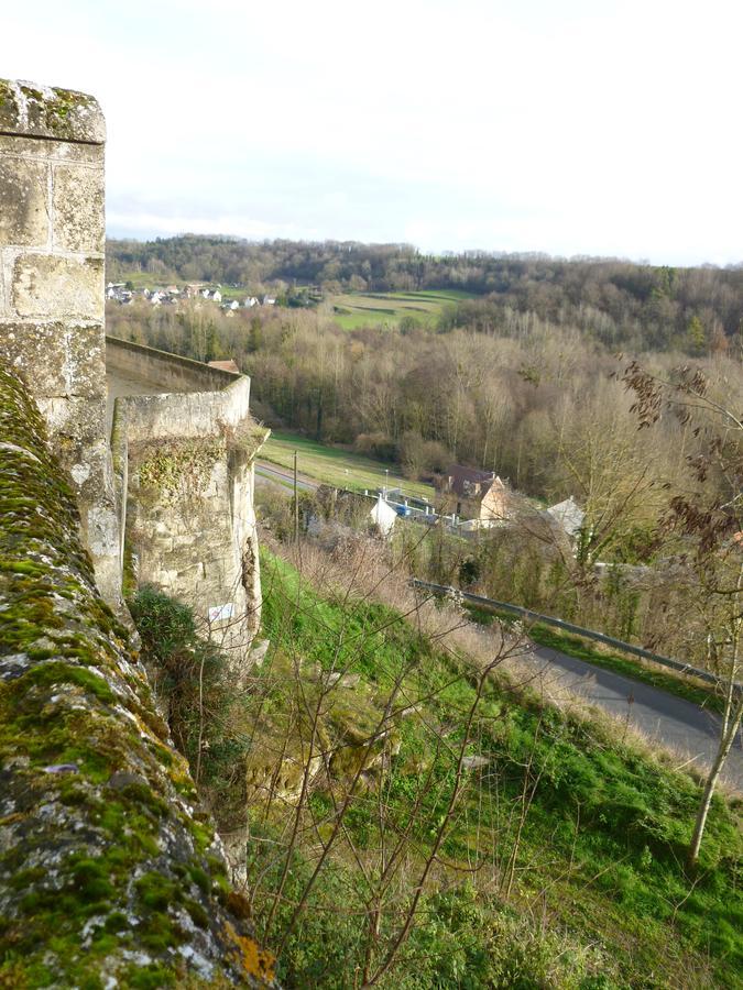 La Chambre Au Chateau Bed and Breakfast Pernant Esterno foto